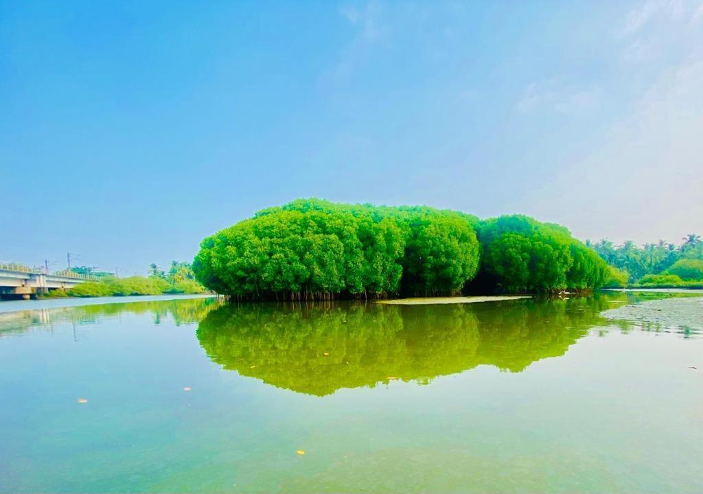 קוז'יקודה Green Island Homestay Riverside מראה חיצוני תמונה
